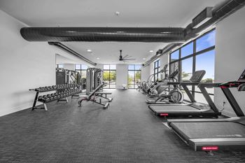 Free weights